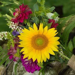 Meet your Posher, Emily